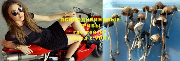 гашик Березники