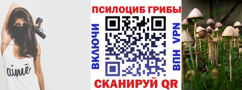 Псилоцибиновые грибы Psilocybe Трубчевск