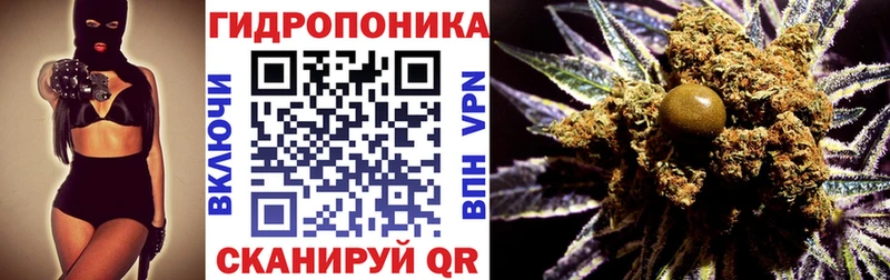 Марихуана конопля  ОМГ ОМГ маркетплейс  Трубчевск  закладка 